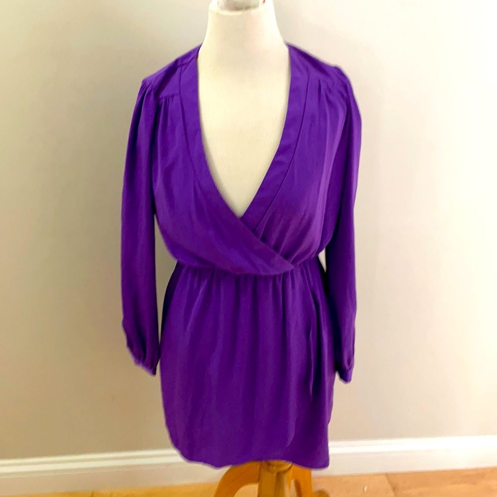 Beautiful Purple Dress From Honey Punch !